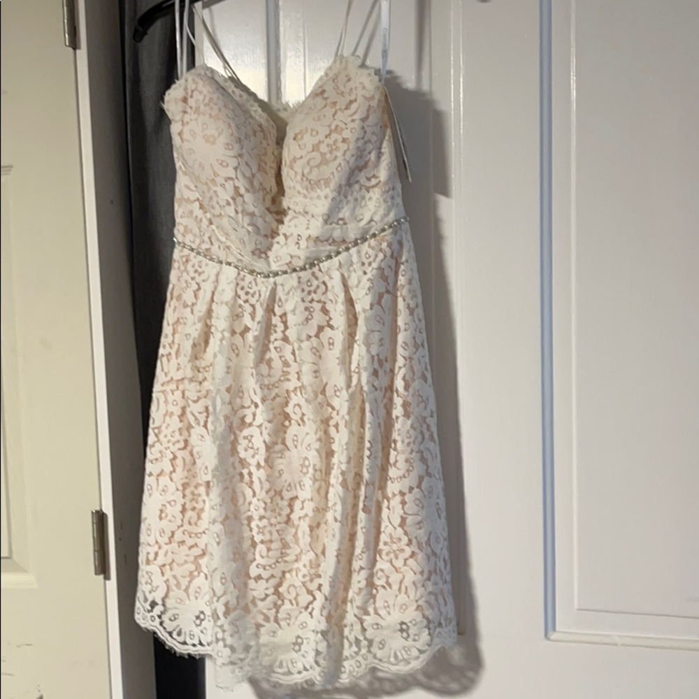 NWT Lace dress